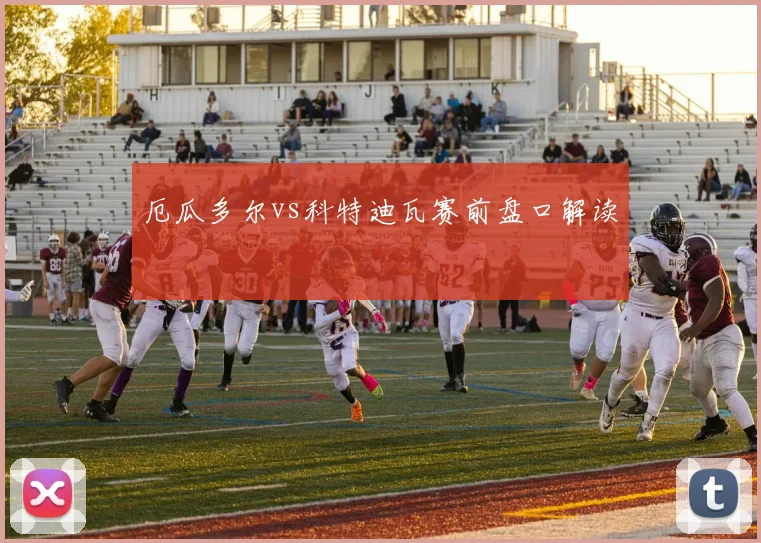 厄瓜多尔vs科特迪瓦赛前盘口解读