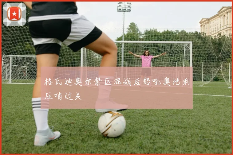 格瓦迪奥尔禁区混战后怒吼奥地利压哨过关