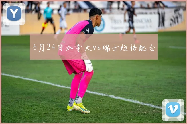 6月24日加拿大vs瑞士短传配合