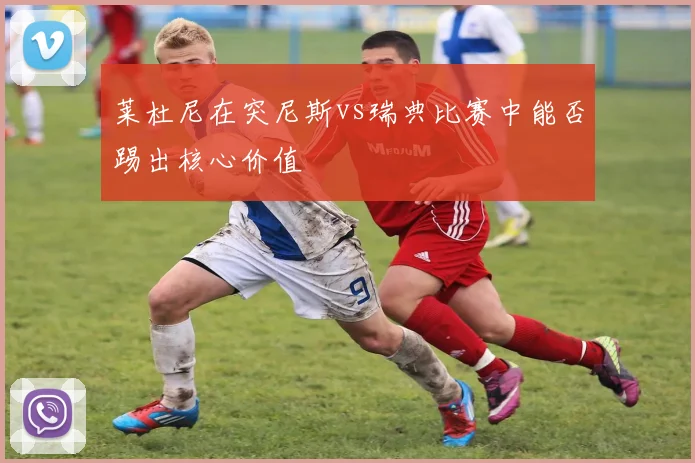 莱杜尼在突尼斯vs瑞典比赛中能否踢出核心价值