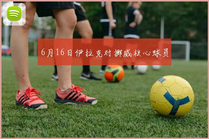6月16日伊拉克对挪威核心球员